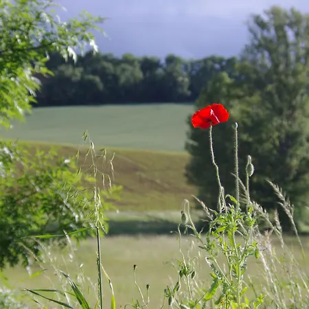 Хостел Le Grange